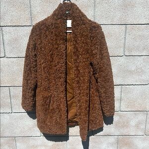 Aritzia Brown Teddy Coat